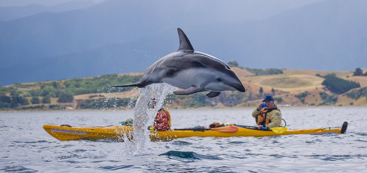 Kaikōura Kayaks