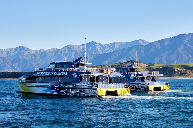 whale watching tour on a catamaran boat