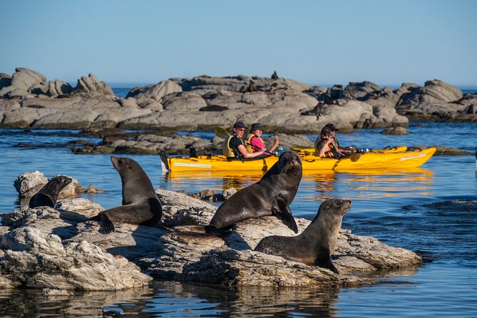 Kayak with wildlife