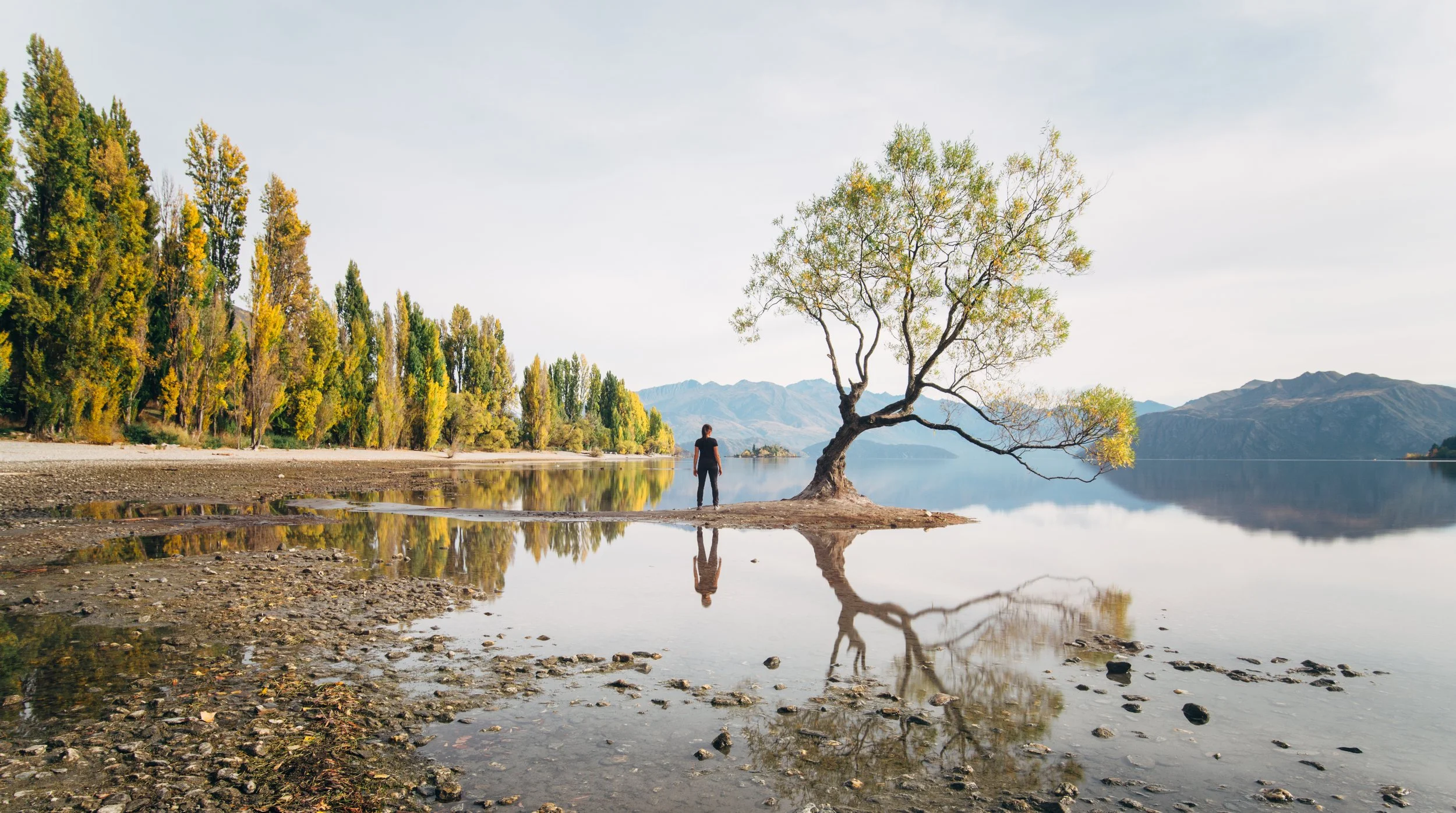 Arrowtown and Wanaka Platinum Tour from Queenstown