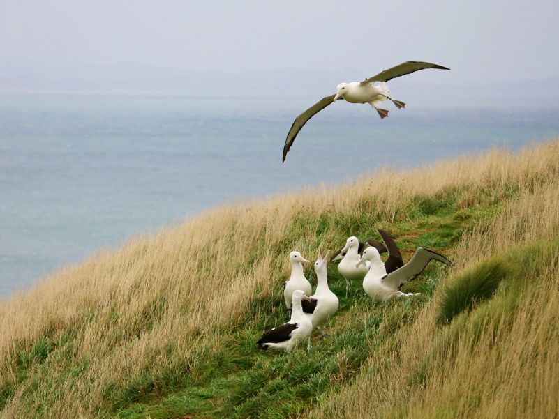 Elm Wildlife Tours