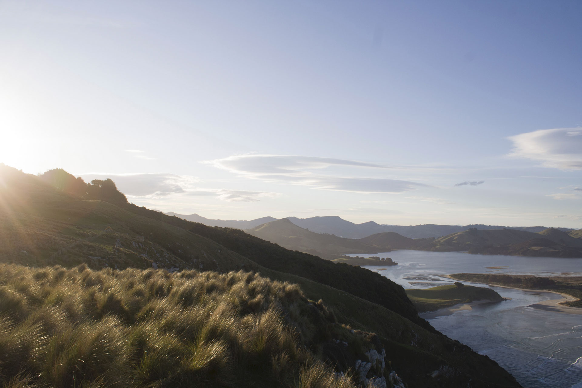 Pars Otago