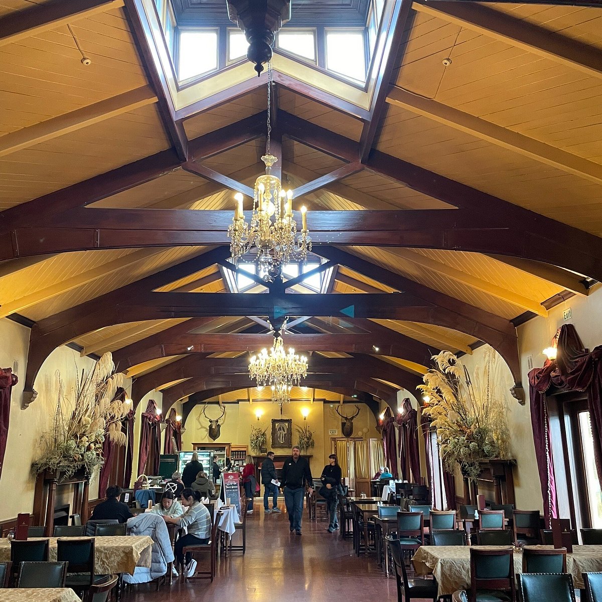 The Ballroom Cafe at Larnach Castle
