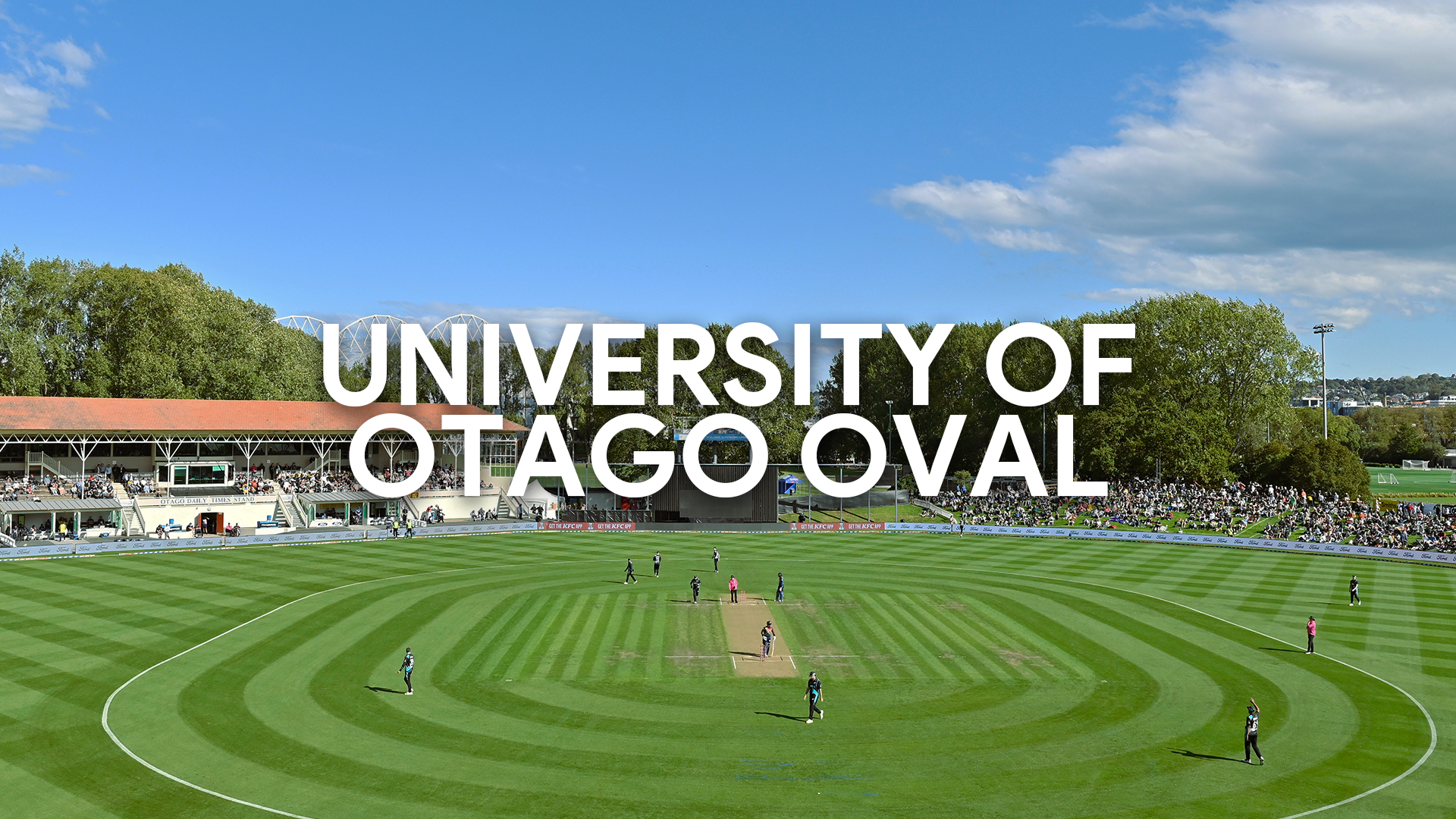 Otago Cricket