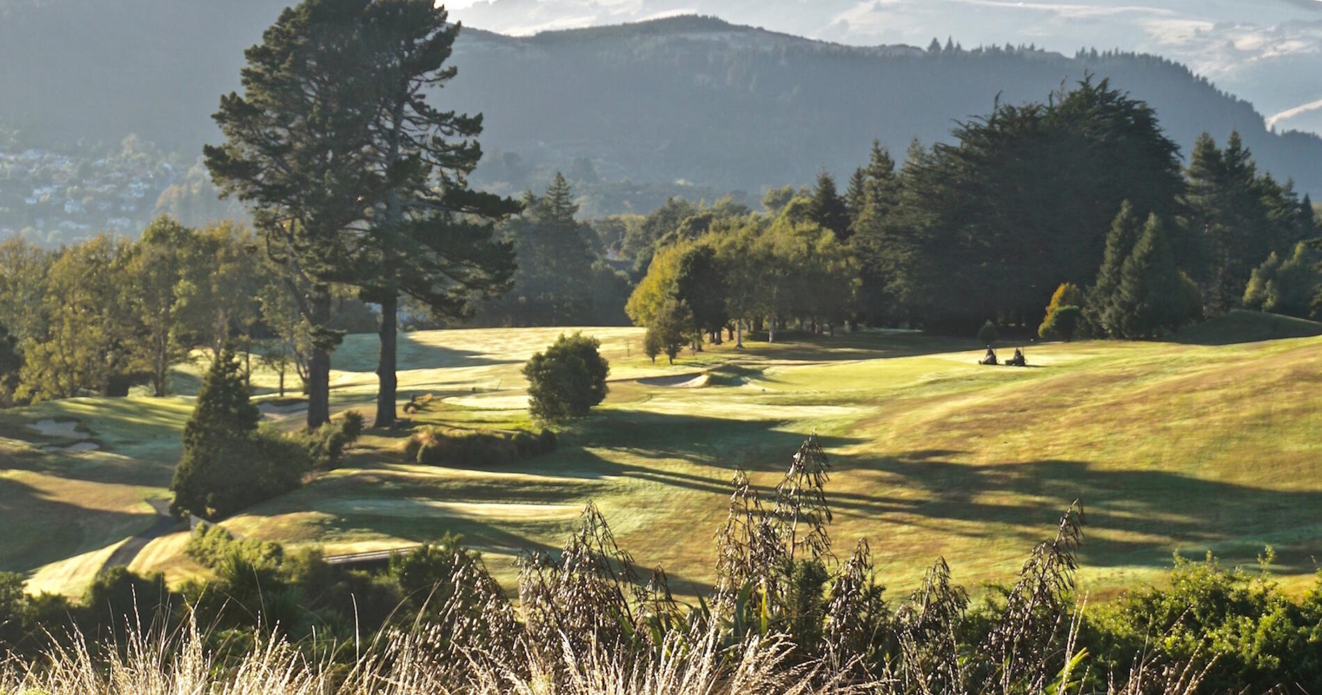 Golf Otago