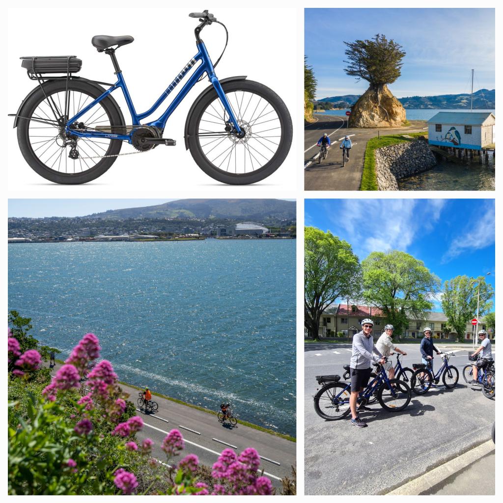 Dunedin E-Bike Hire Ltd