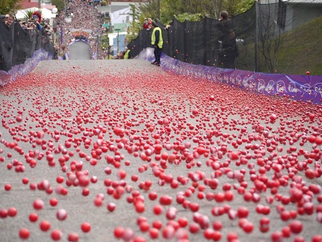 Jaffa Race