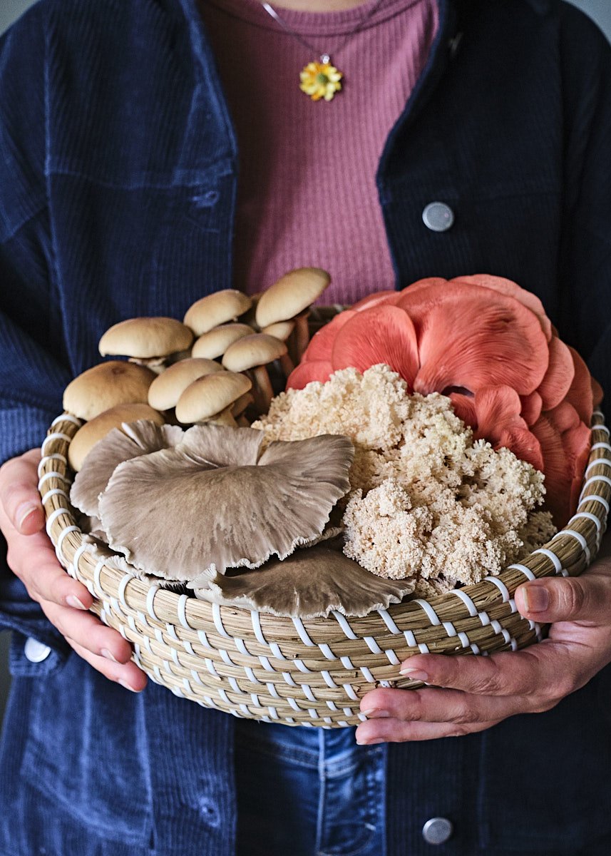 Southland Mushrooms