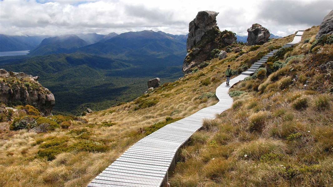 Hump Ridge Track