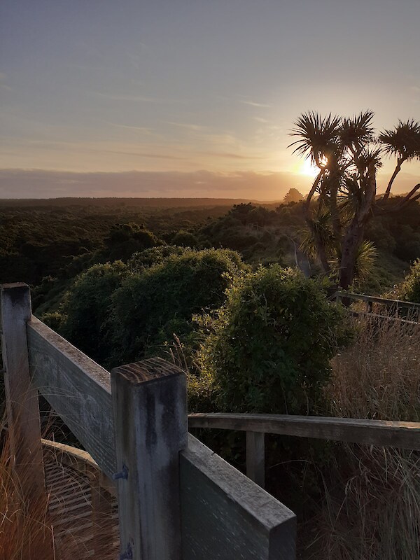 Sandy Point Domain