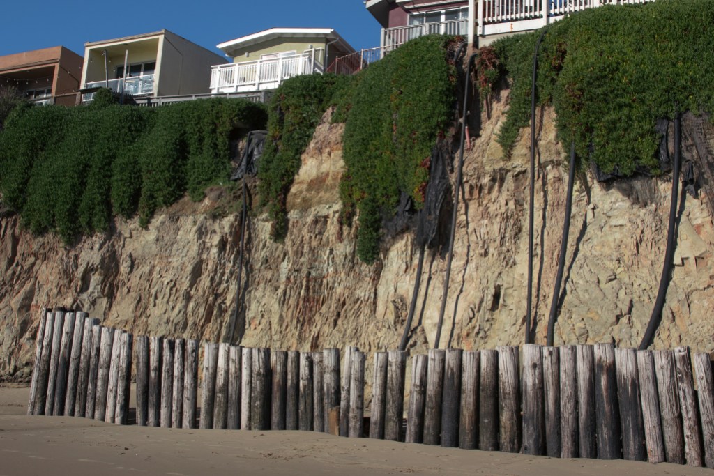 Bluff Timber & Building Supplies