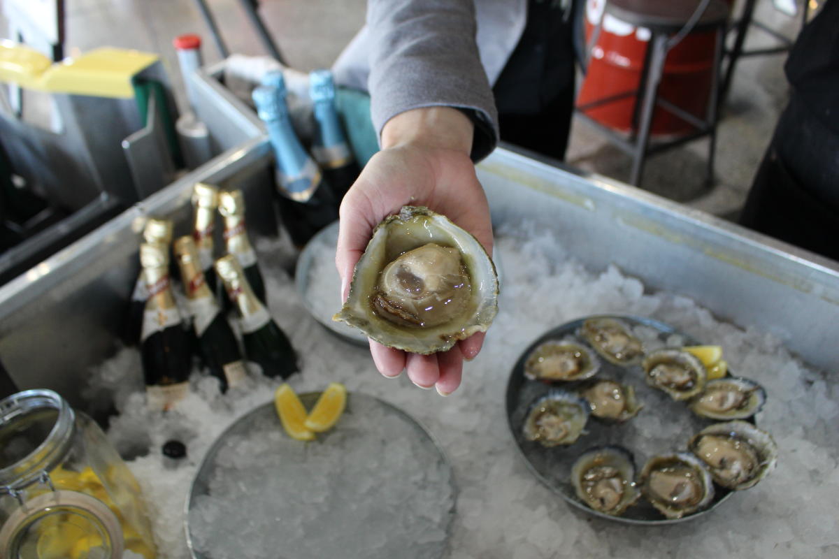 Bluff Oyster and Food Festival