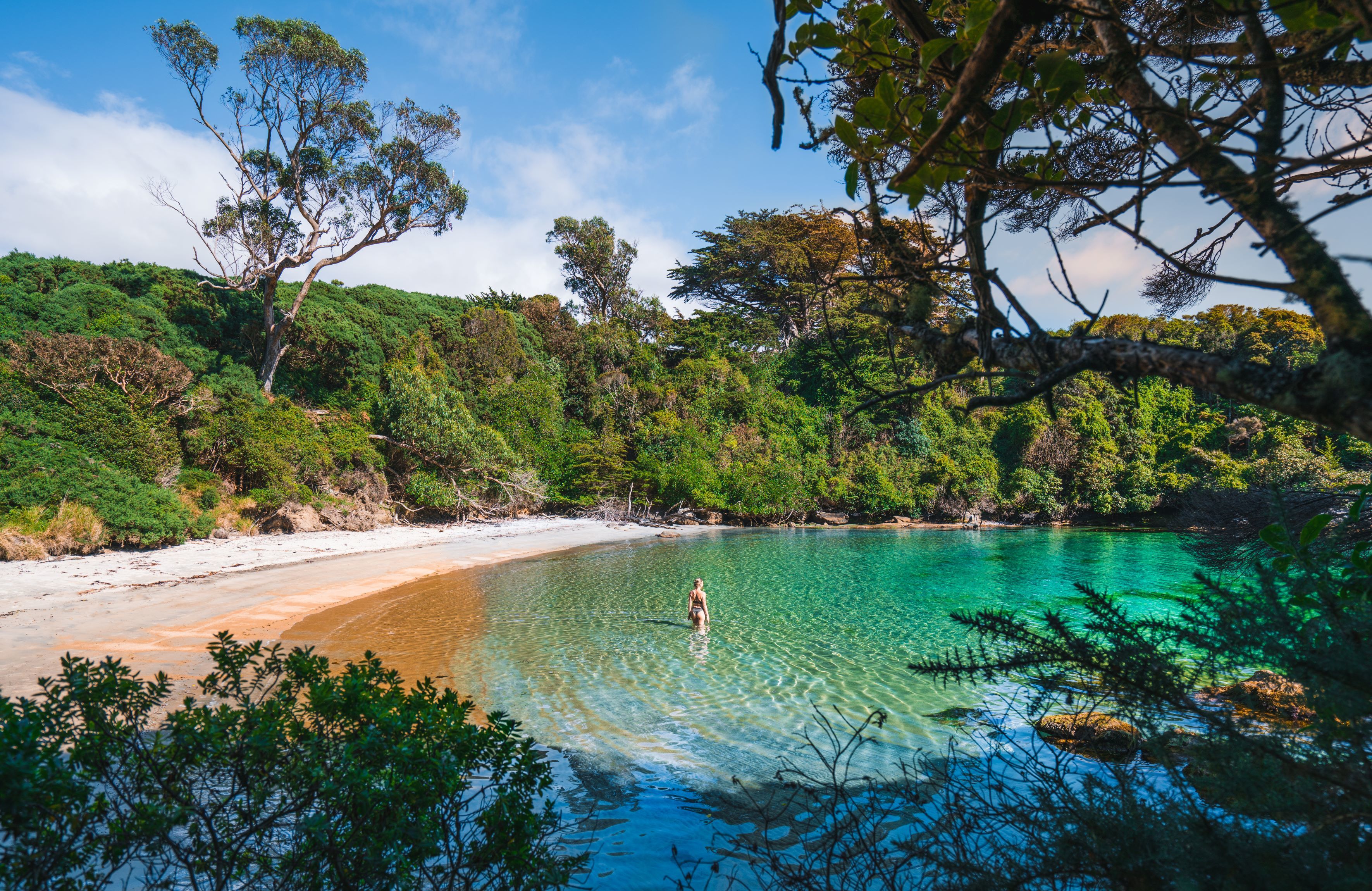Stewart Island Nature Tours