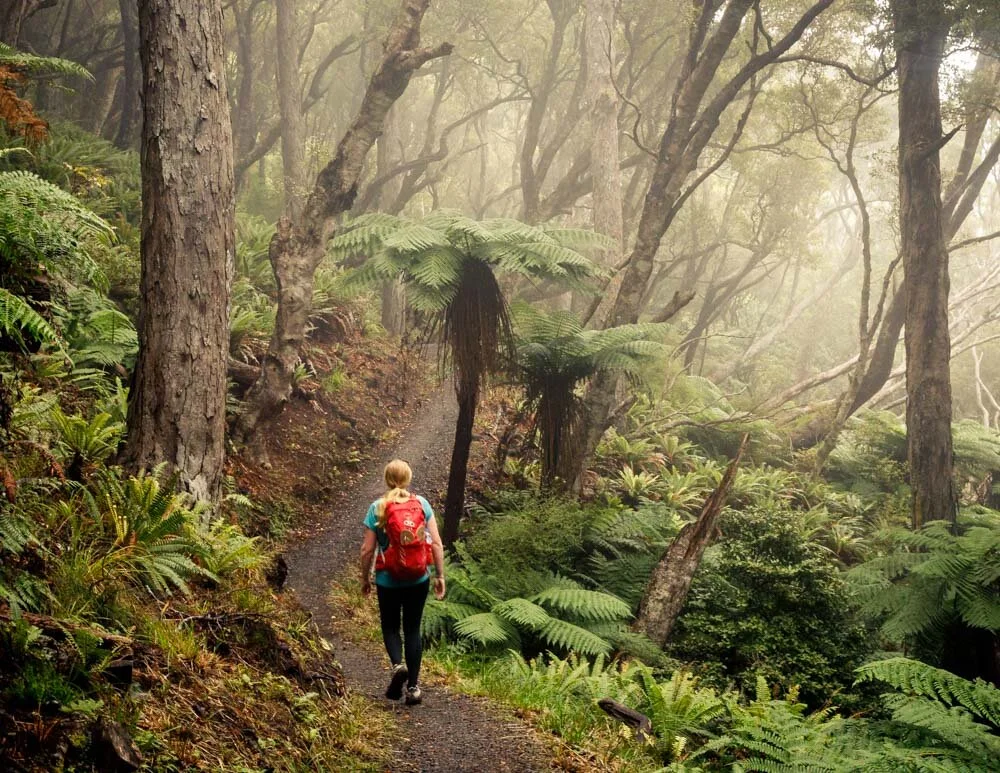 Rakiura Adventure