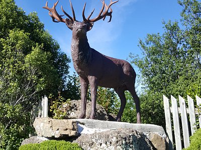 Balfour Park