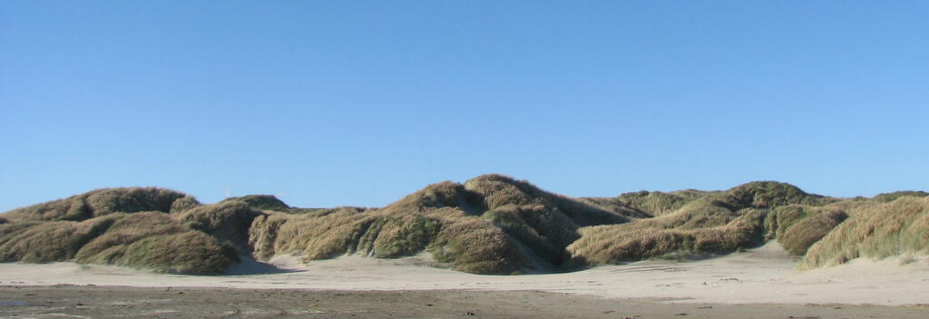Sandy Point