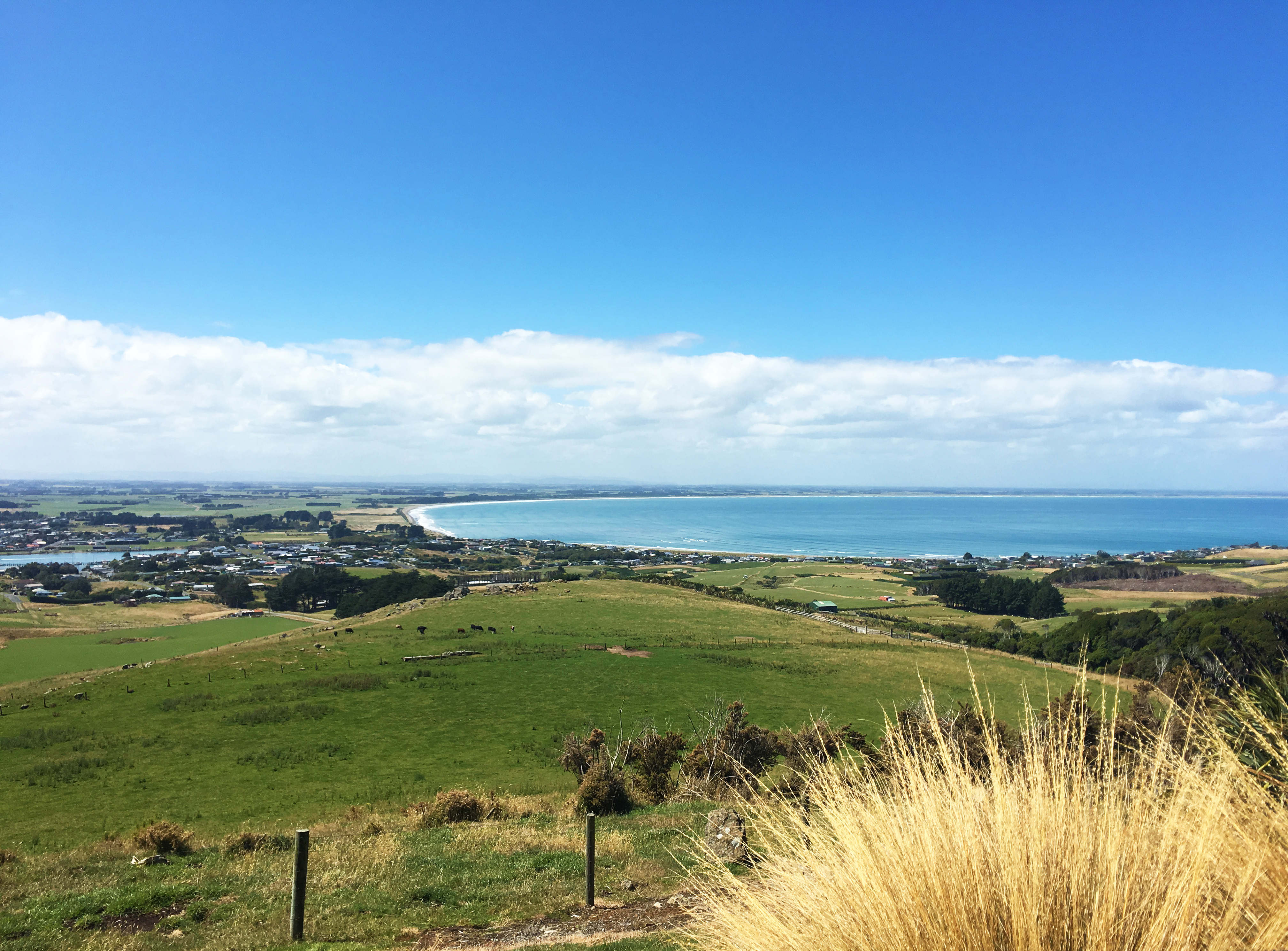 Mores Scenic Reserve