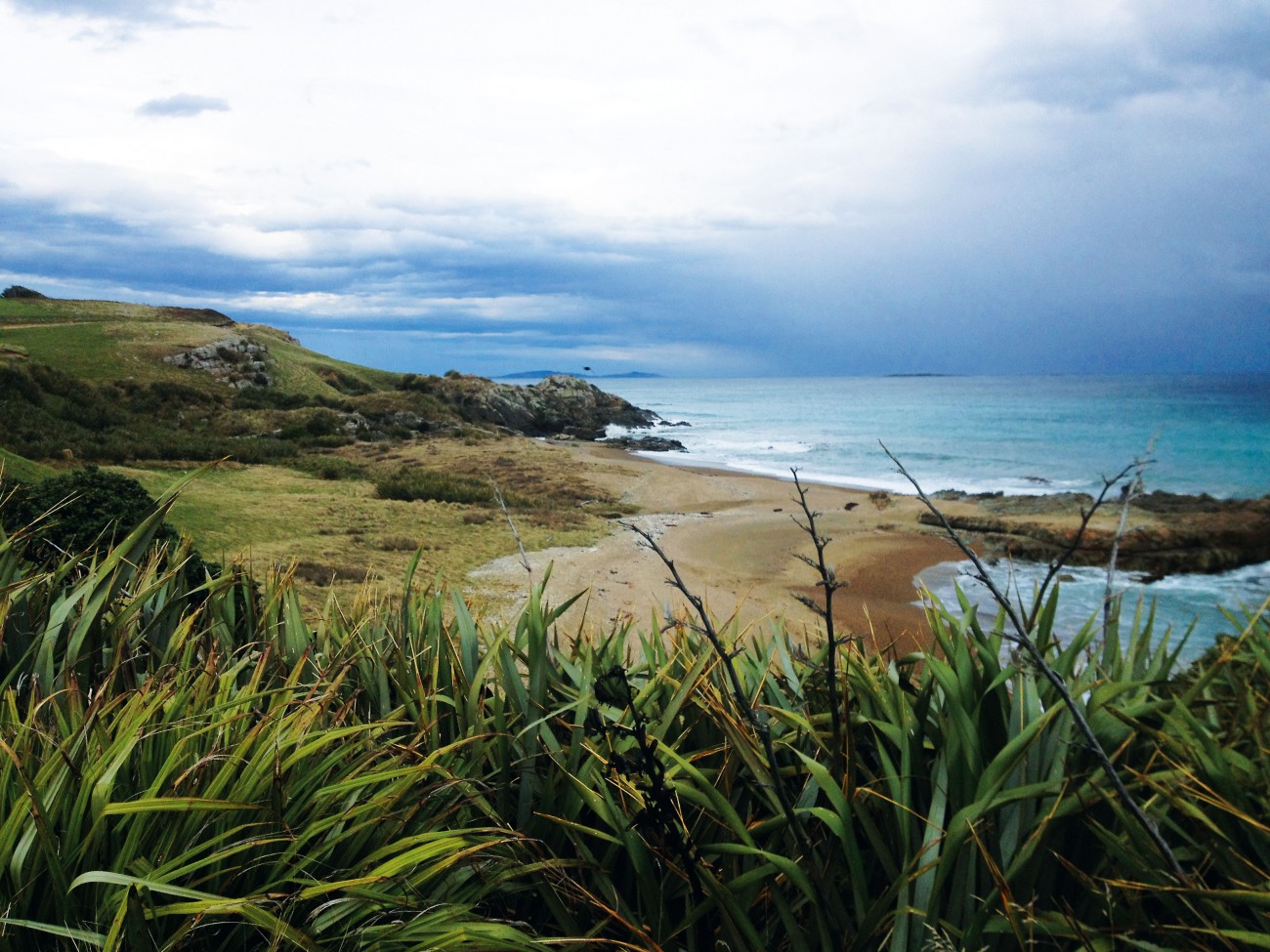 Tihaka Beach