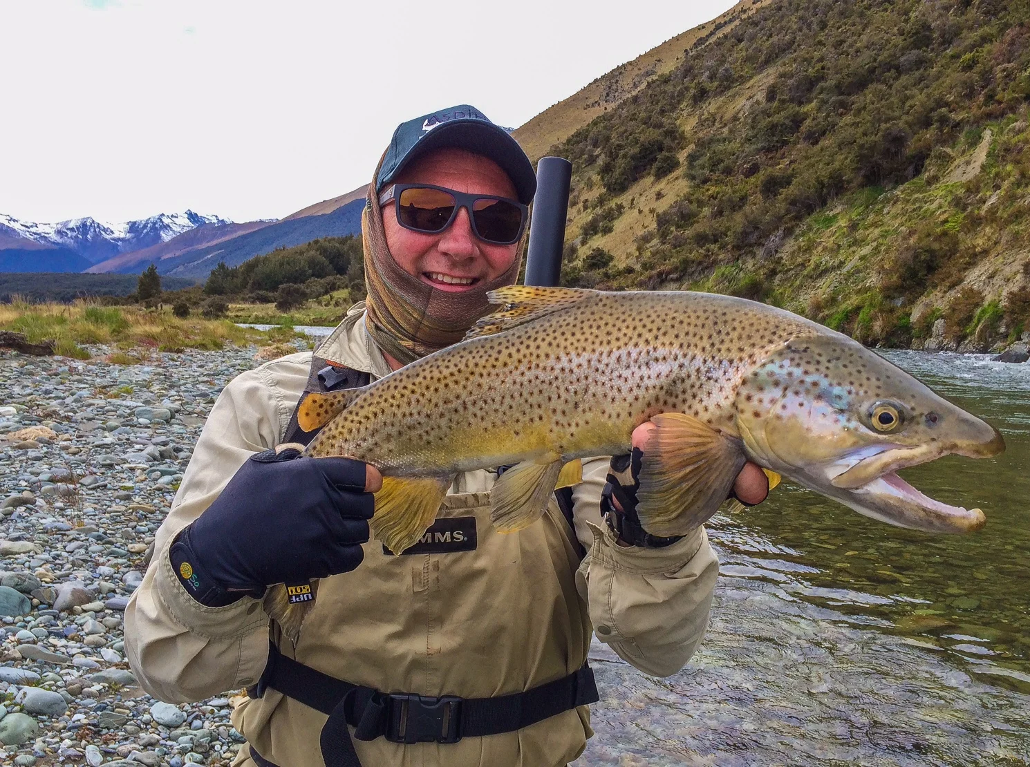 Brown Trout