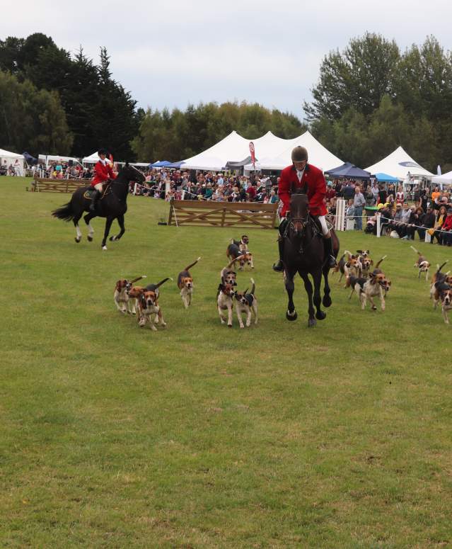Southland A&P Show