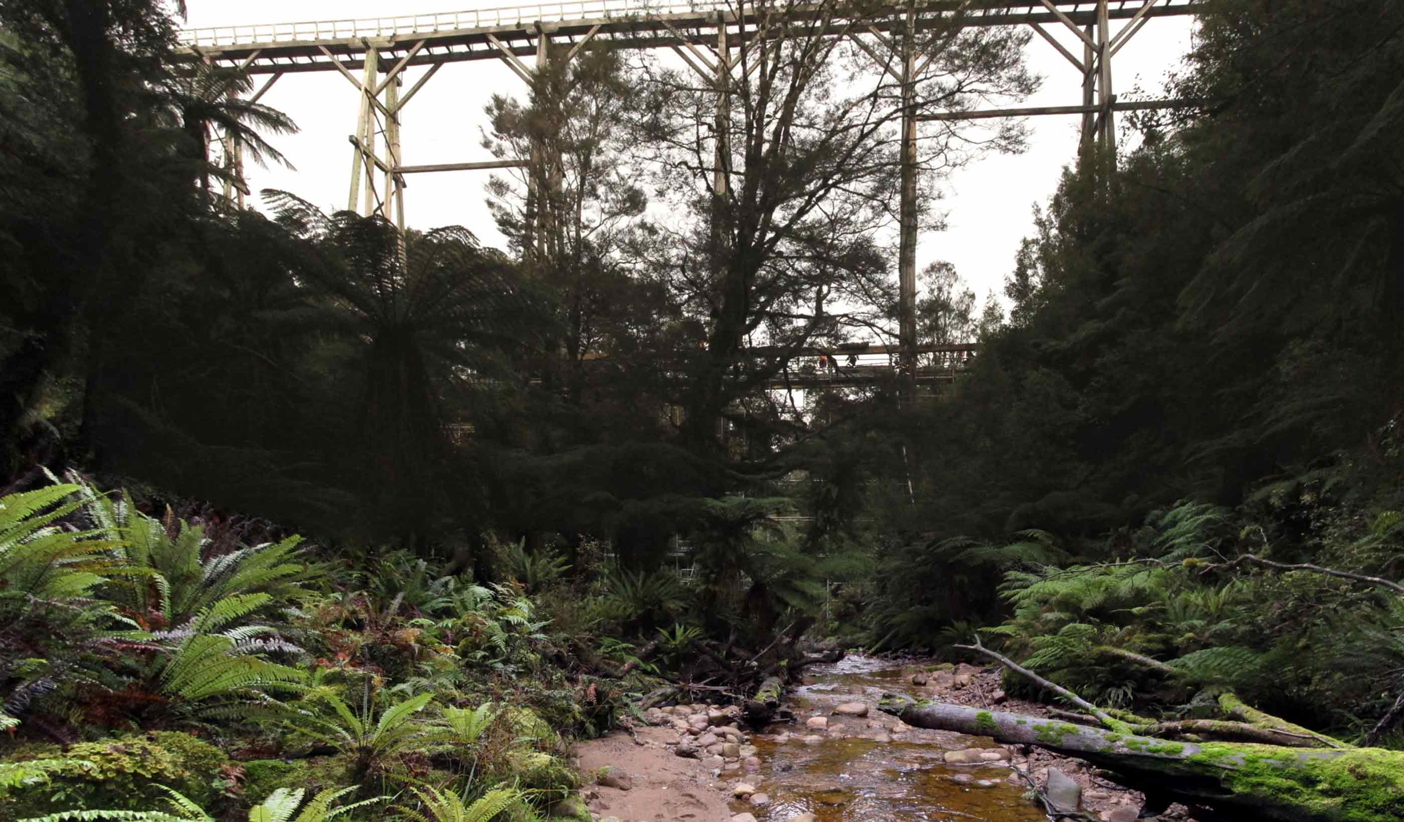 Percy Burn Viaduct