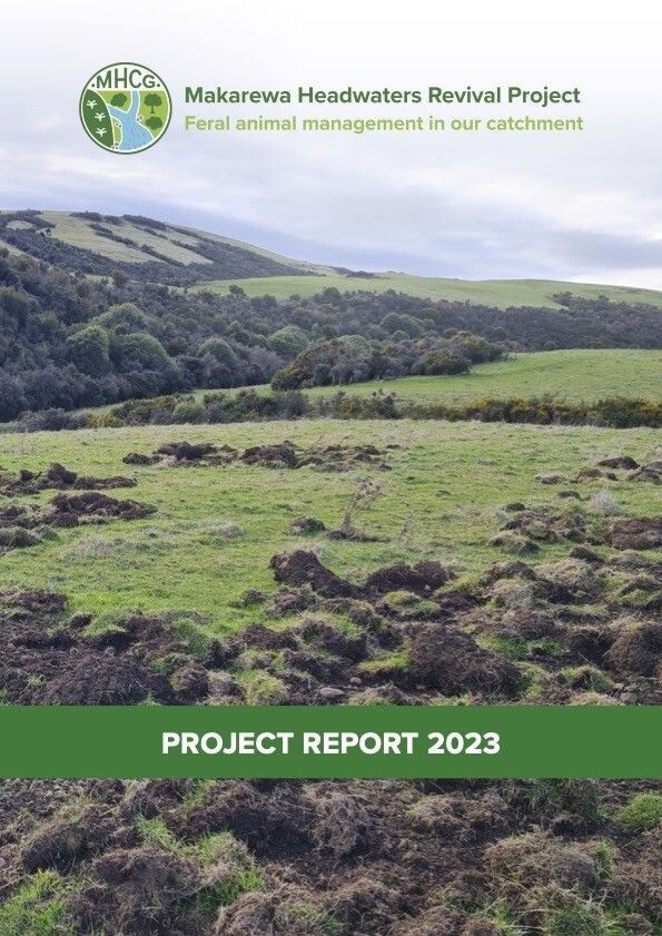 Makarewa Headwaters Project