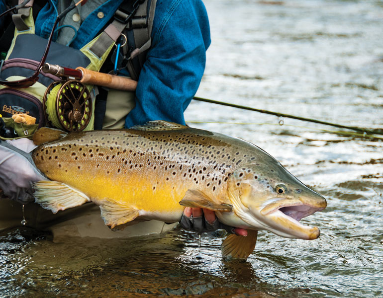 Trout Fishing