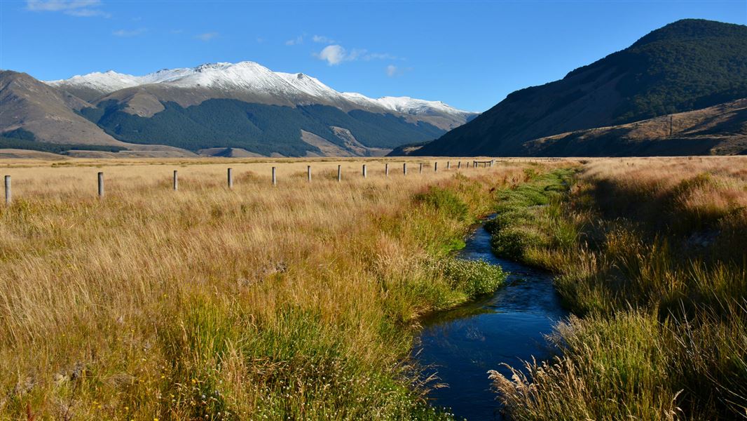 Eyre Mountains (Taka Ra Haka) Conservation Park