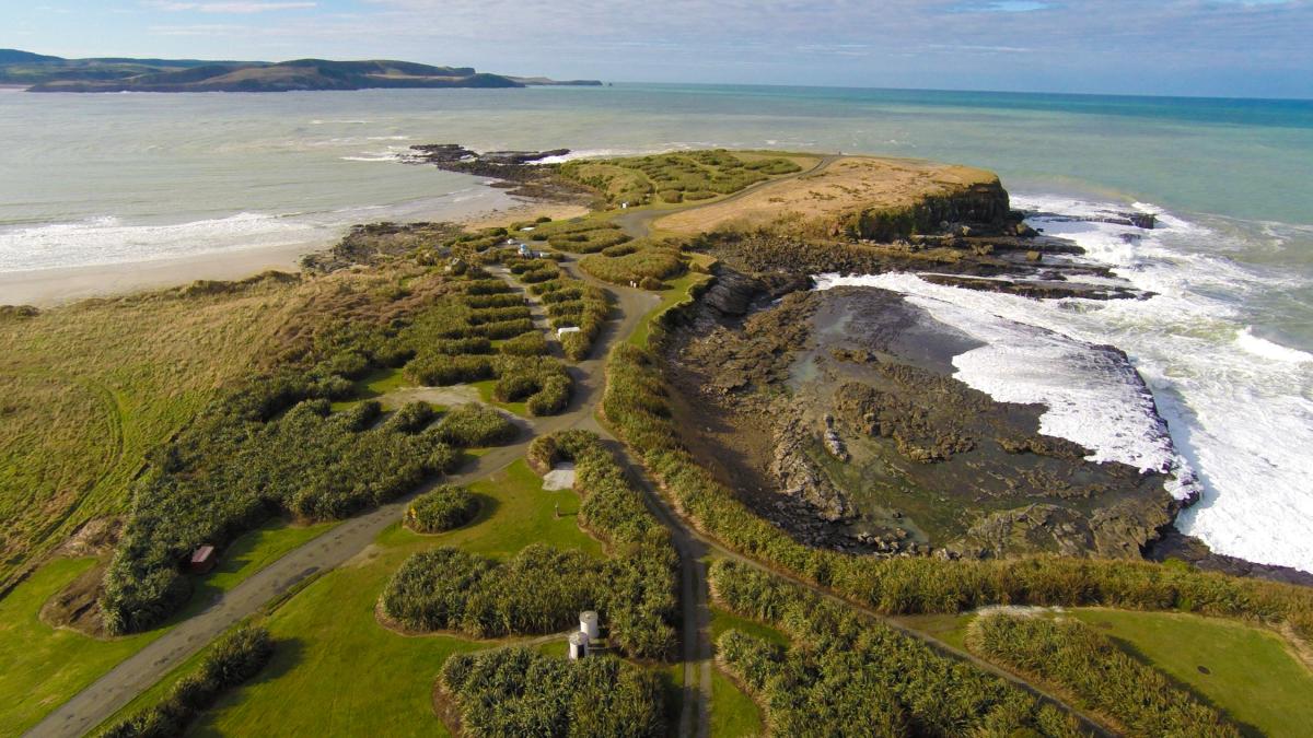 Curio Bay Recreation Reserve