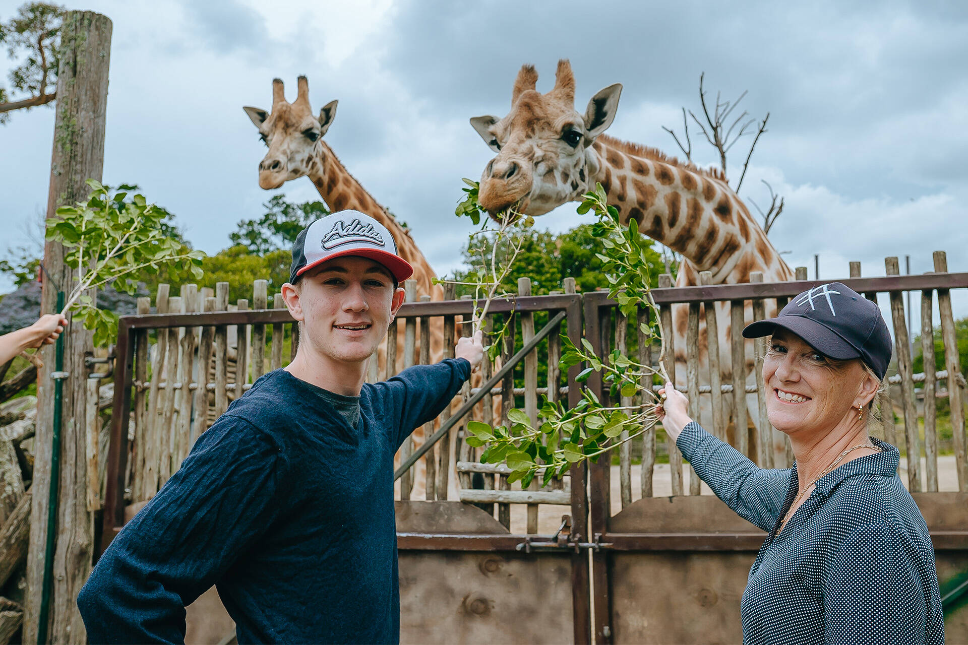 Auckland Zoo