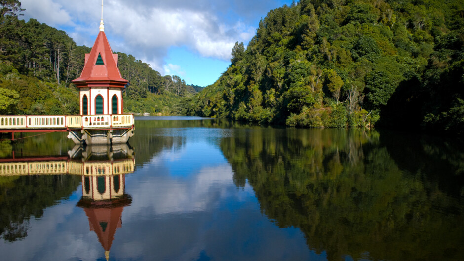 Zealandia: The Karori Sanctuary Experience