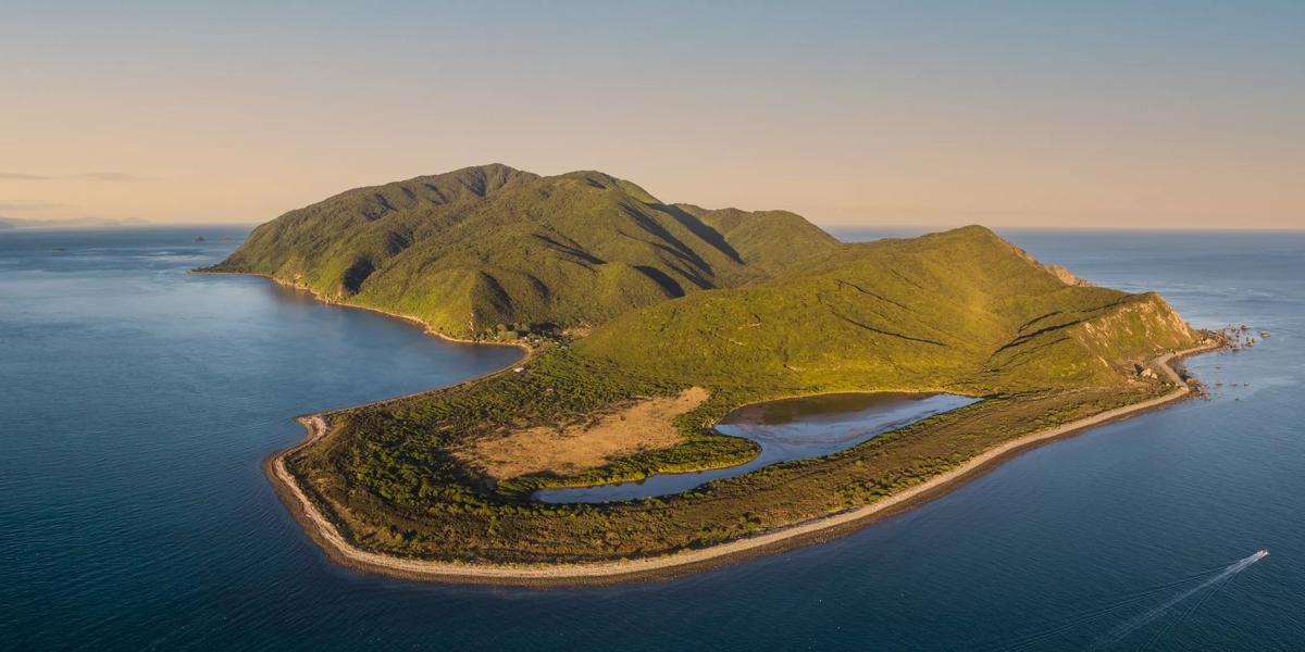 Kāpiti Island Nature Reserve