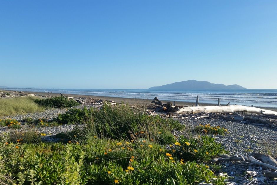 Te Horo