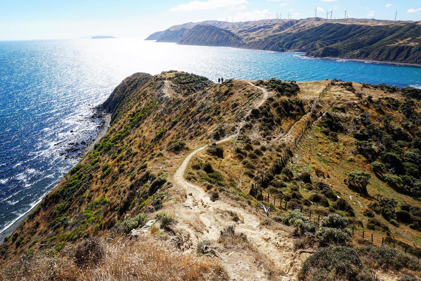 Makara Track, Beach and Walkway