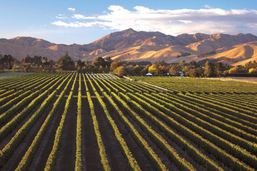 Gimblett Gravels winegrowing district