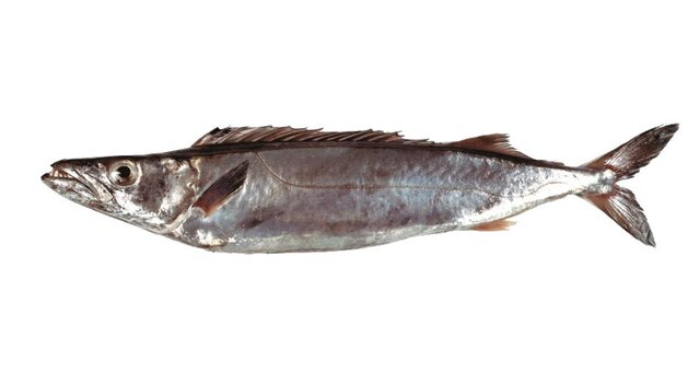 GJ's Fresh Fish