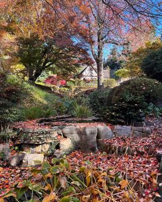 Taranaki Autumn Guide