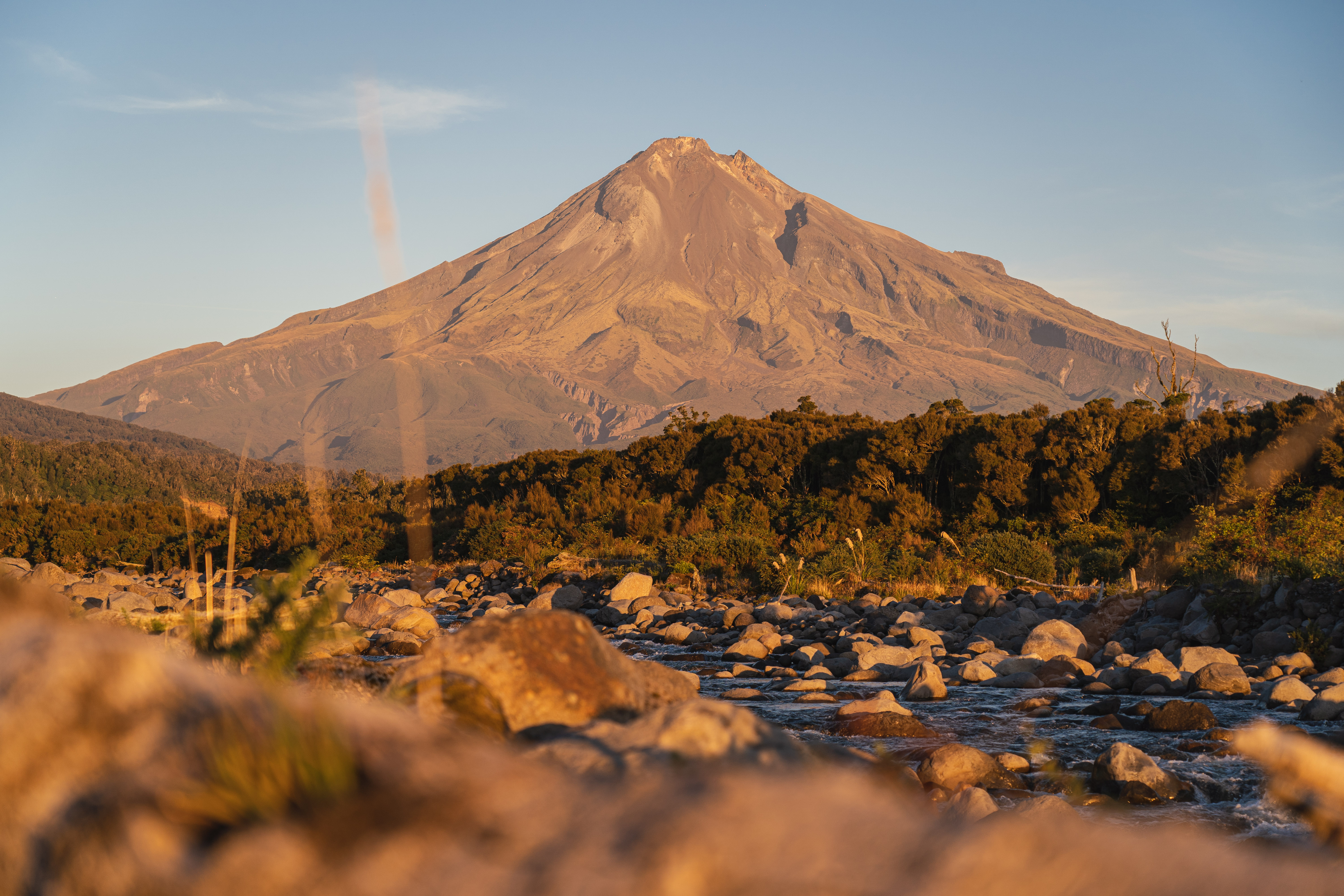 Spotlight on South Taranaki