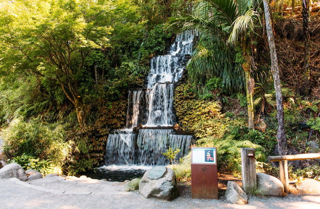 Pukekura Park