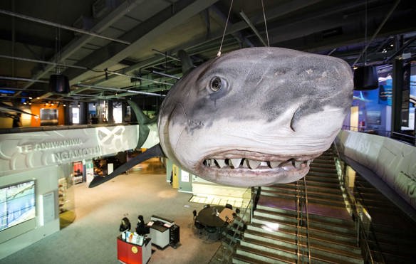 Puke Ariki Museum