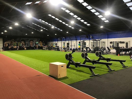 The Rec Room
