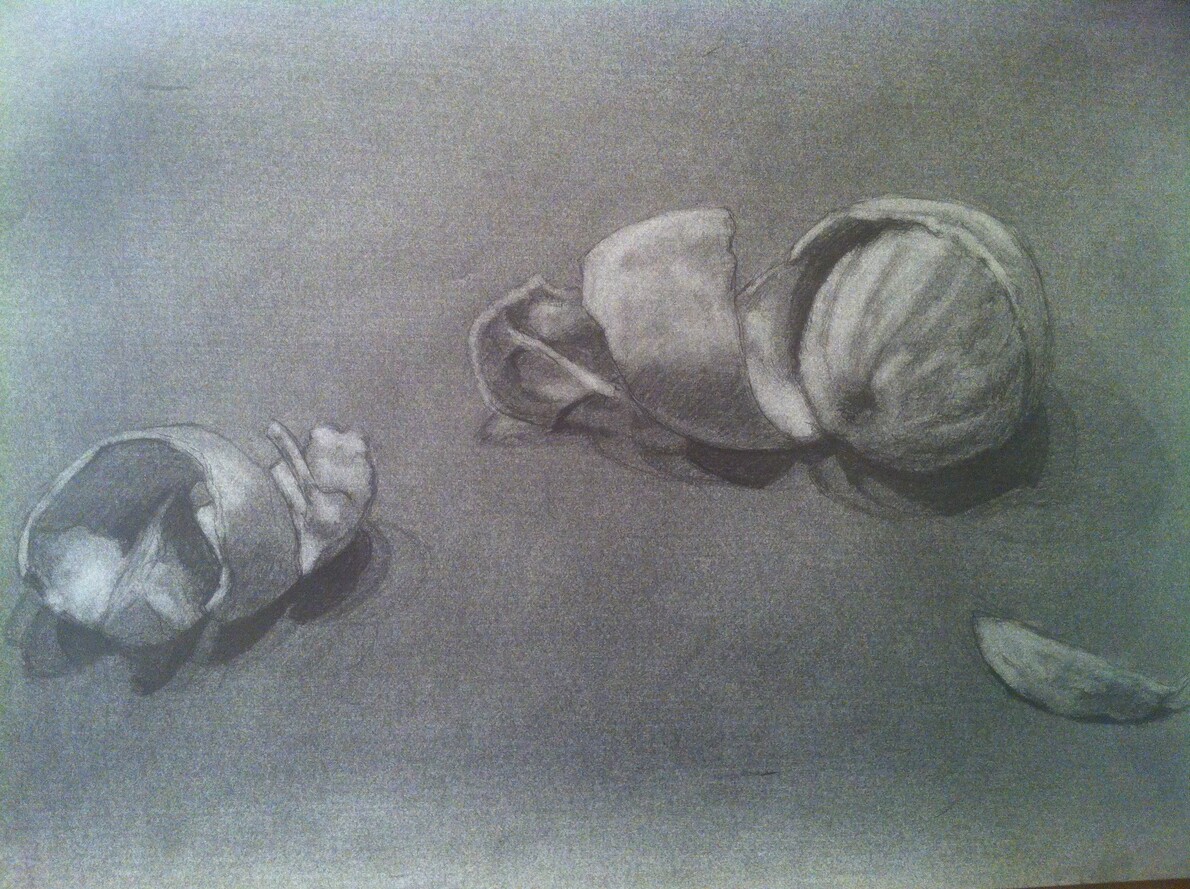 Essential Pencil Realistic Drawing Classes