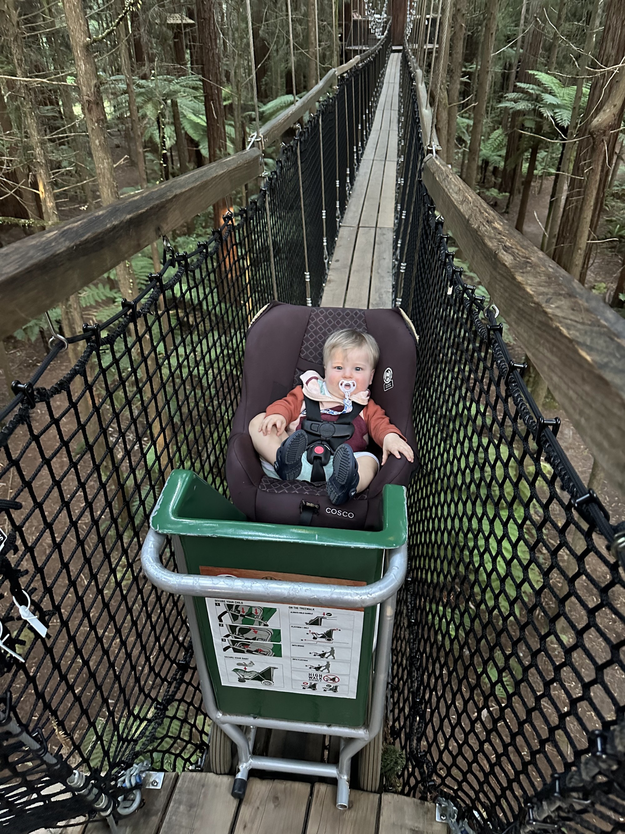 Toddler Thursday