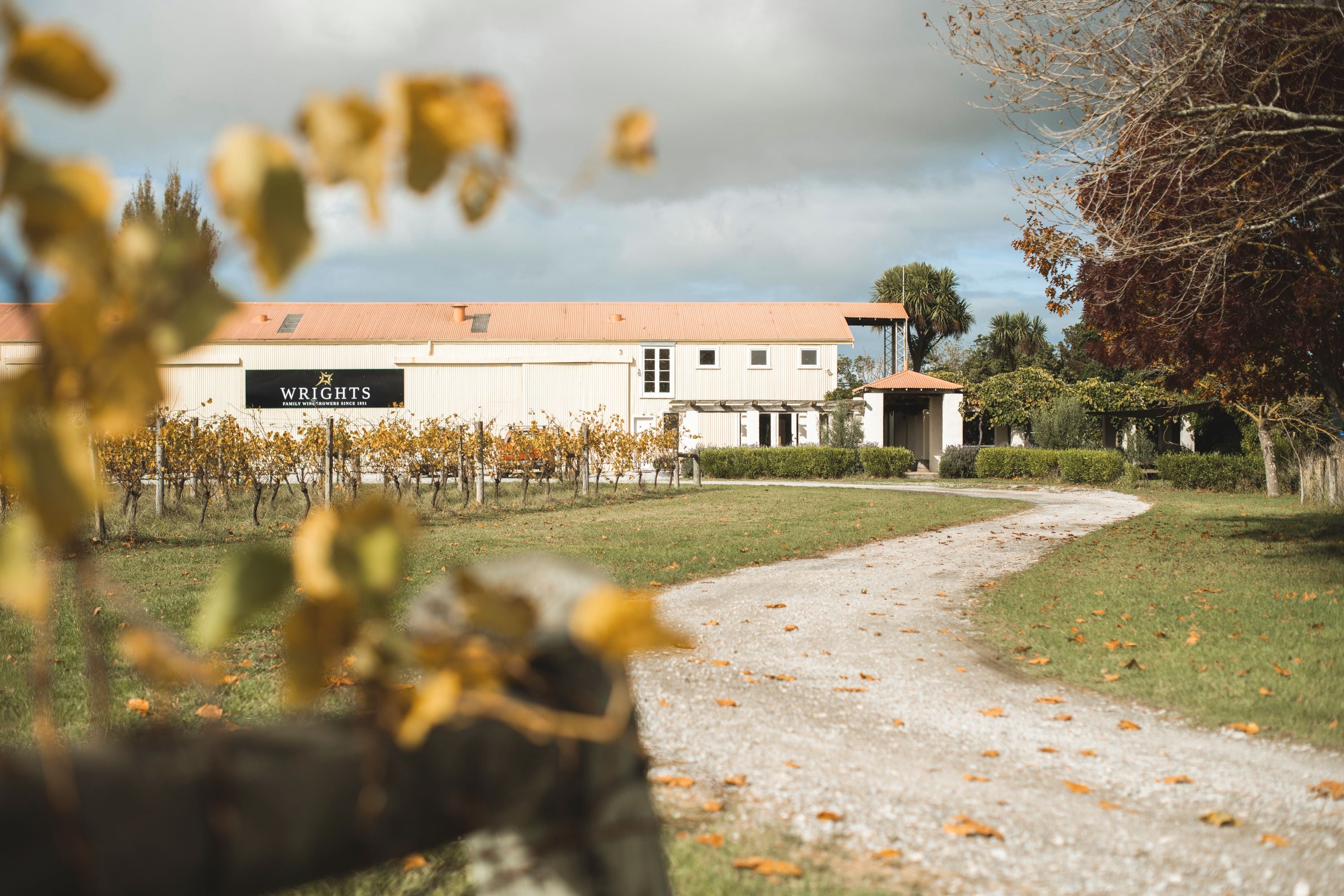 Wrights Vineyard