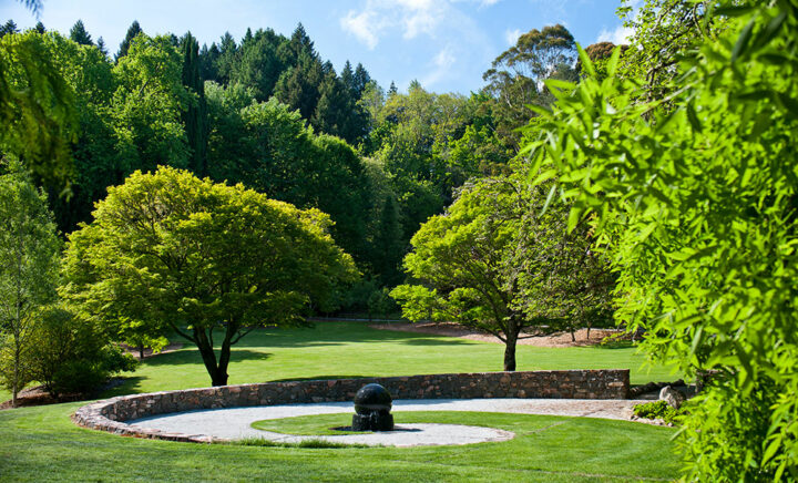 Eastwood Hill Arboretum