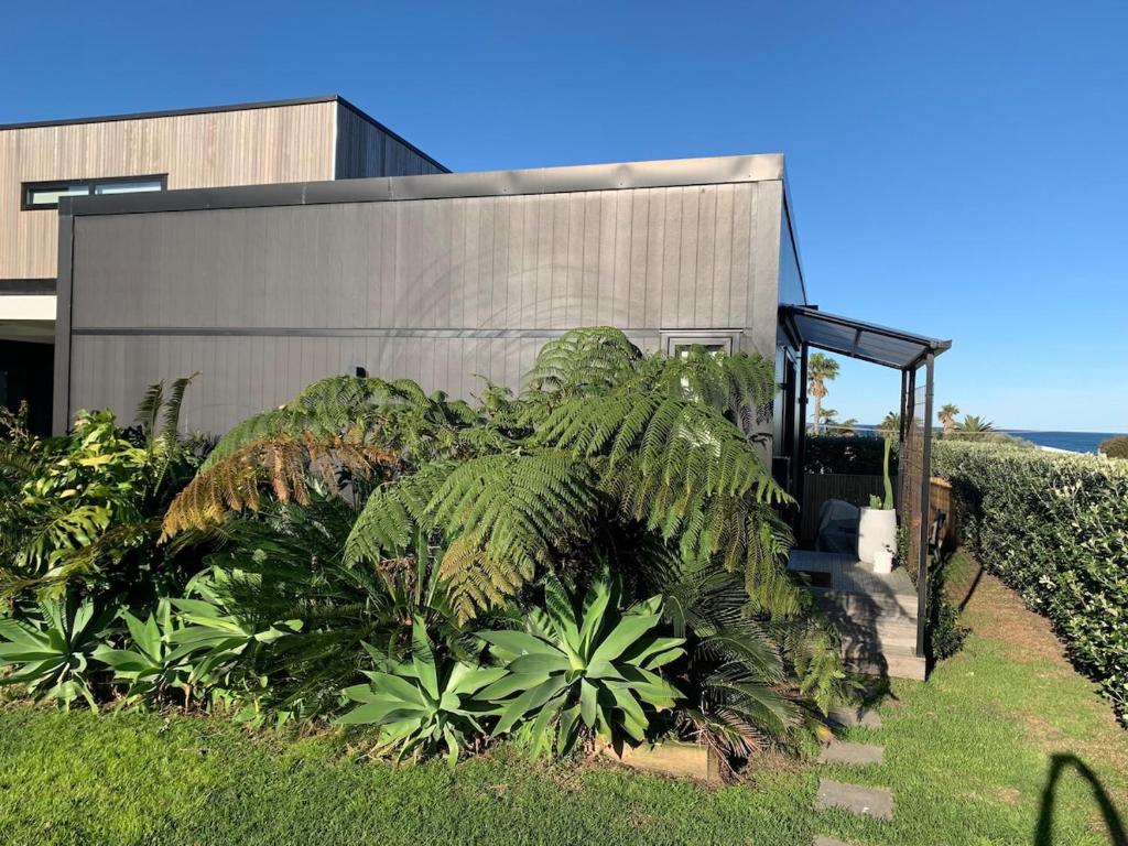 Wainui Beach Studio, Gisborne