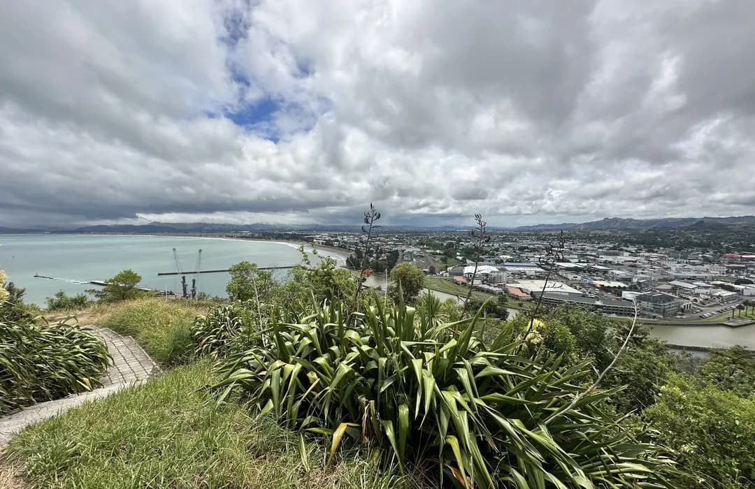 Titirangi Domain (Kaiti Hill)