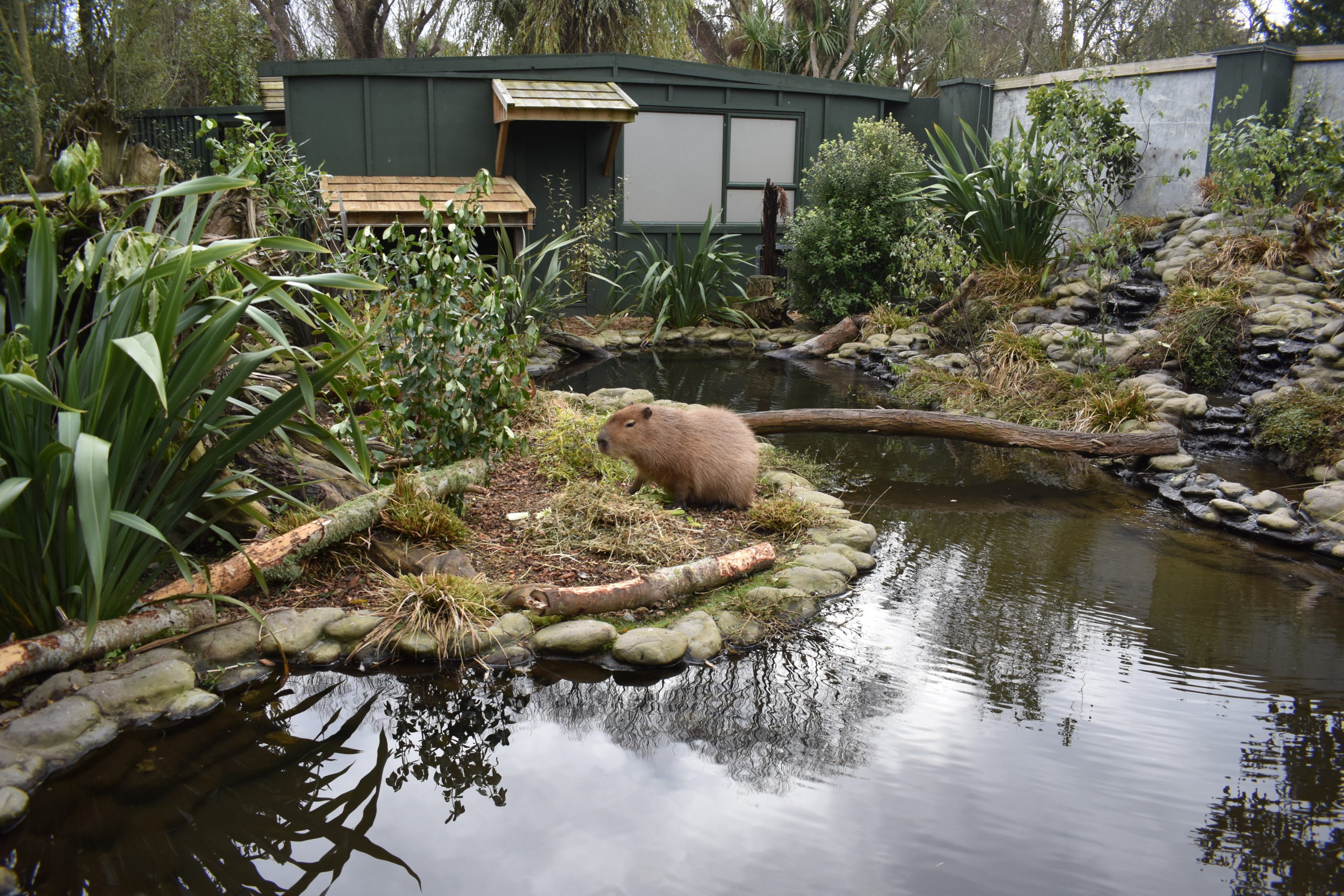 Willowbank Wildlife Reserve