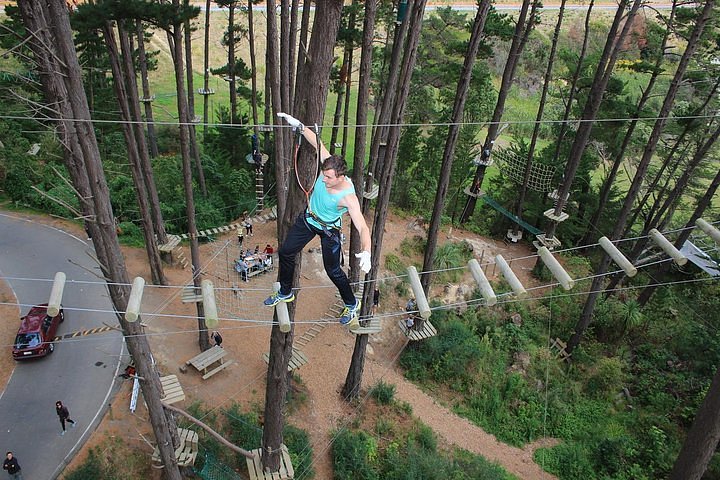 Adrenalin Forest Obstacle Course