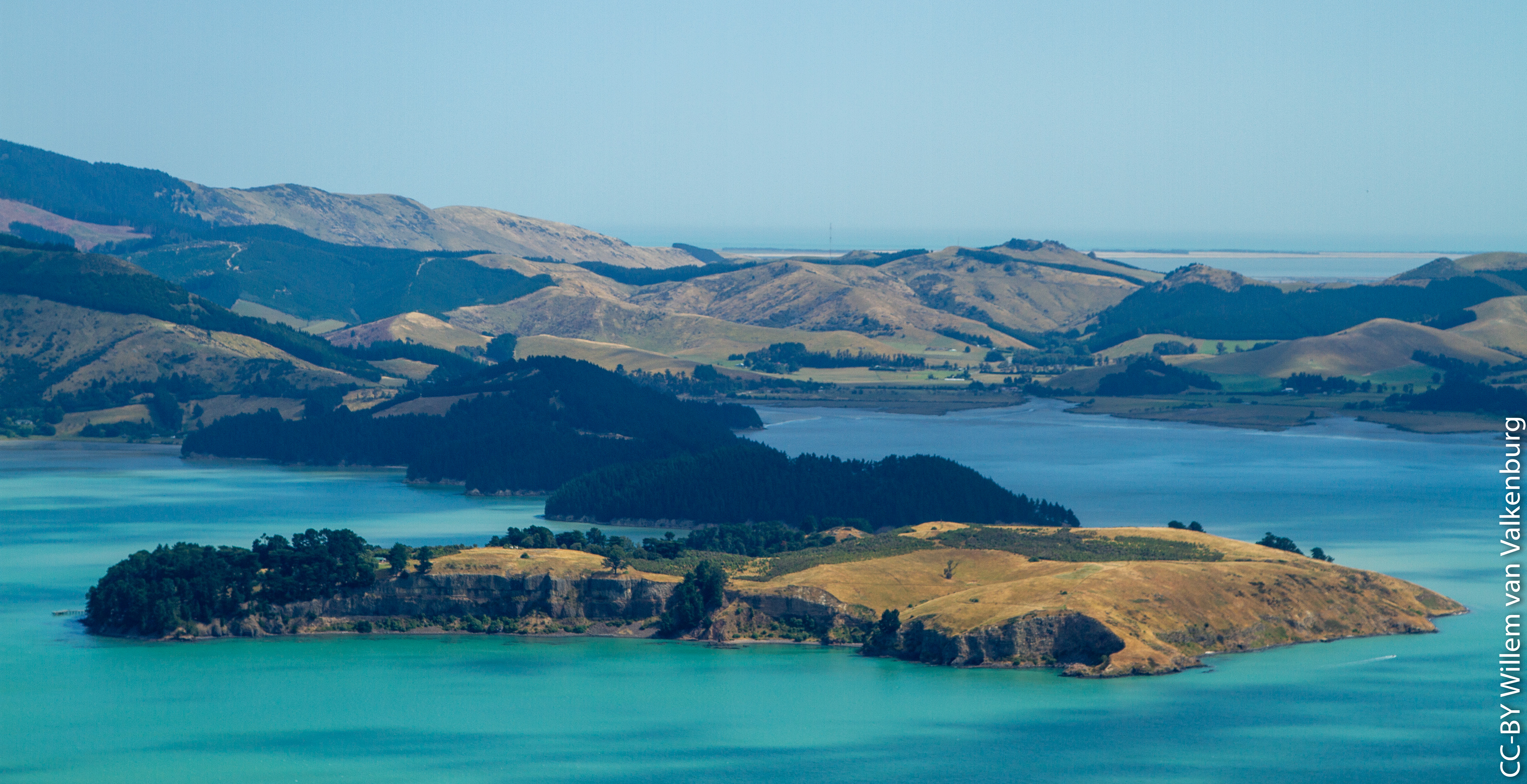 Otamahua / Quail Island
